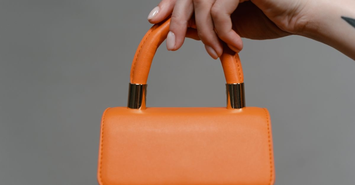 Piccola, Chic e Incredibilmente Versatile: La Borsa Elegante che Completa Ogni Look
