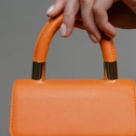 Piccola, Chic e Incredibilmente Versatile: La Borsa Elegante che Completa Ogni Look